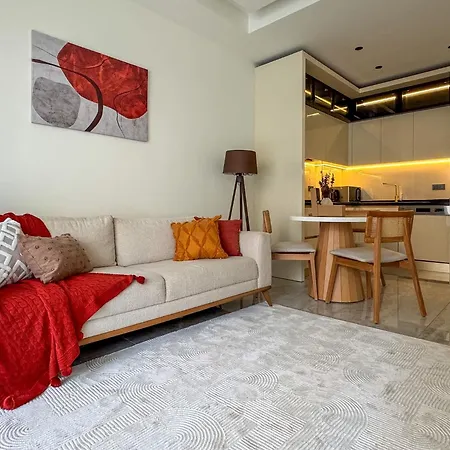 Qoople Aria Premium In The Center Of